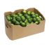 Lime Bulk Box 5kg