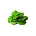 Lime Leaves 500g