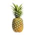 Pineapple Phillipines 1 Piece