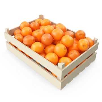 Orange Sandra Sweet Box