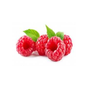 IQF Raspberry Whole Frozen 1kg