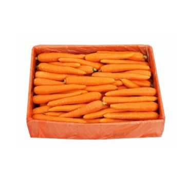 Carrot Australia Bulk Box