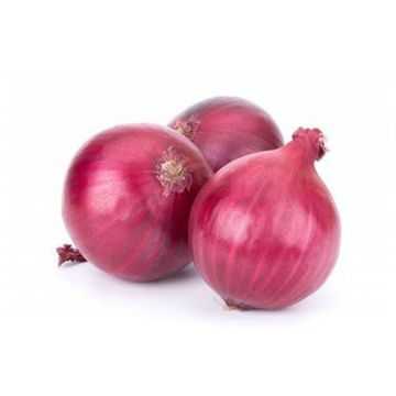 Red Onion Egypt 1kg