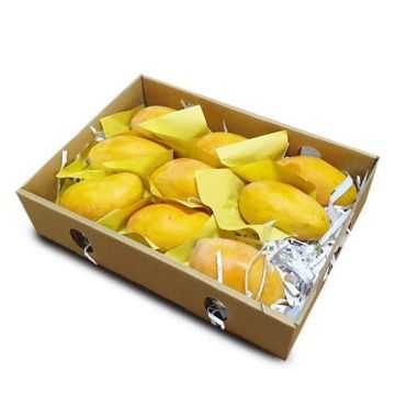 Mango Yemen Tymoor Box