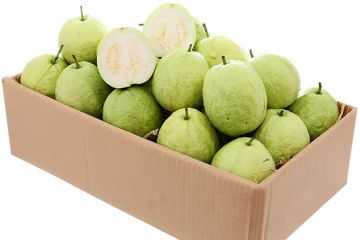 Guava Vietnam Box