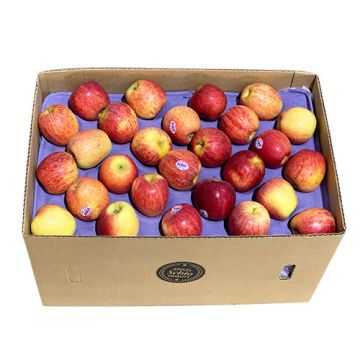 Apple Royal Gala 18kg Box