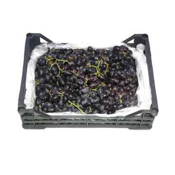 Black Grapes Misr Box