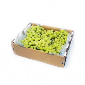 Grapes White Misr Box