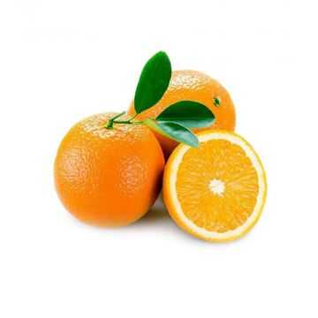 Orange Valencia South Africa 0.9 - 1kg