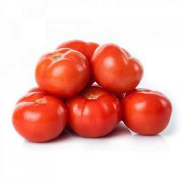 Tomato  Box 5kg