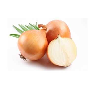 Brown Onion Spain 1kg