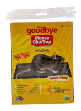 Good Bye Maxima Non Toxic Mouse Glue Trap