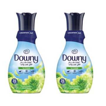 Downy Concent Dream Garden  1 LTR Pack Of 2